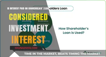 Shareholder Loans: Tax Treatment of Interest and Investment Considerations