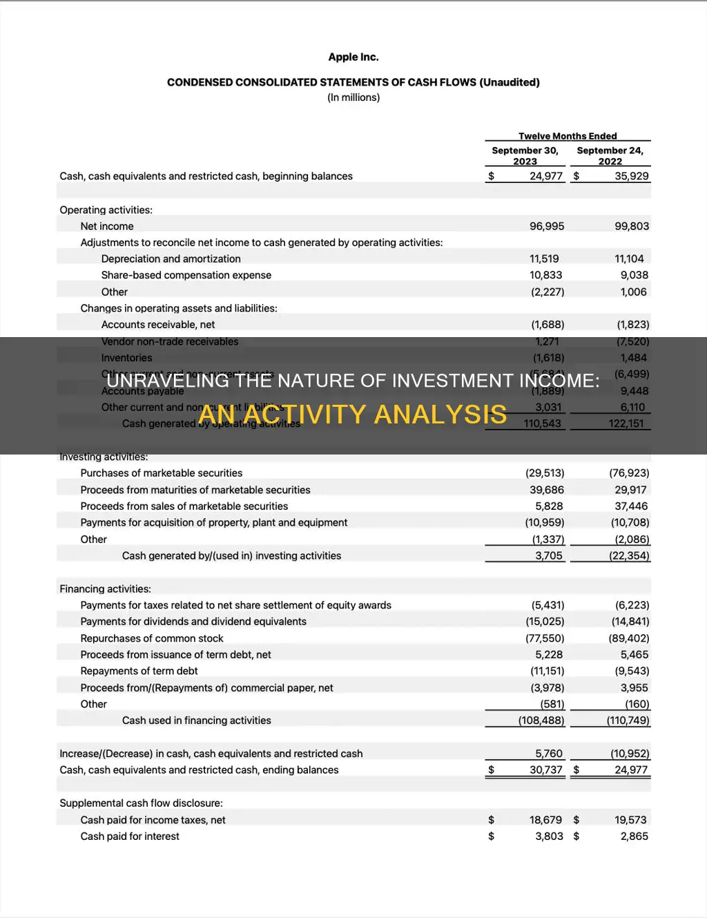 is interest received on investments an investing activity