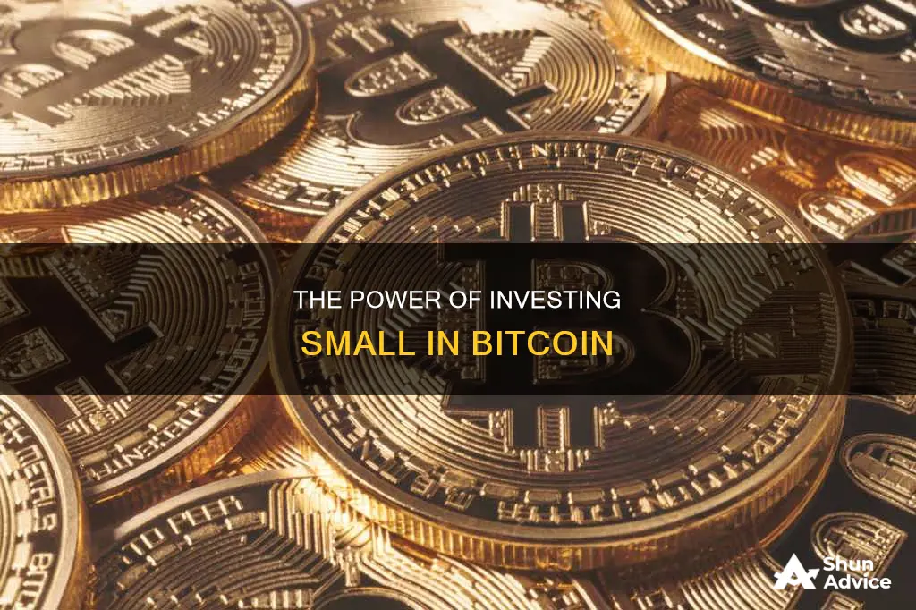 is investing 1 dollar in bitcoin worth it