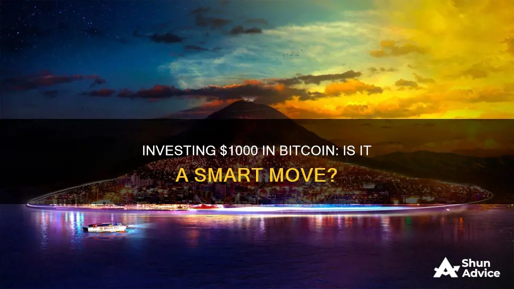 is investing 1000 in bitcoin worth it