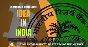 Bitcoin in India: Worth the Investment Risk?