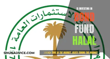 Bond Funds: Halal or Haram?