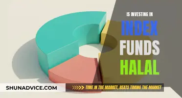 Islamic Investing: Index Funds Halal?