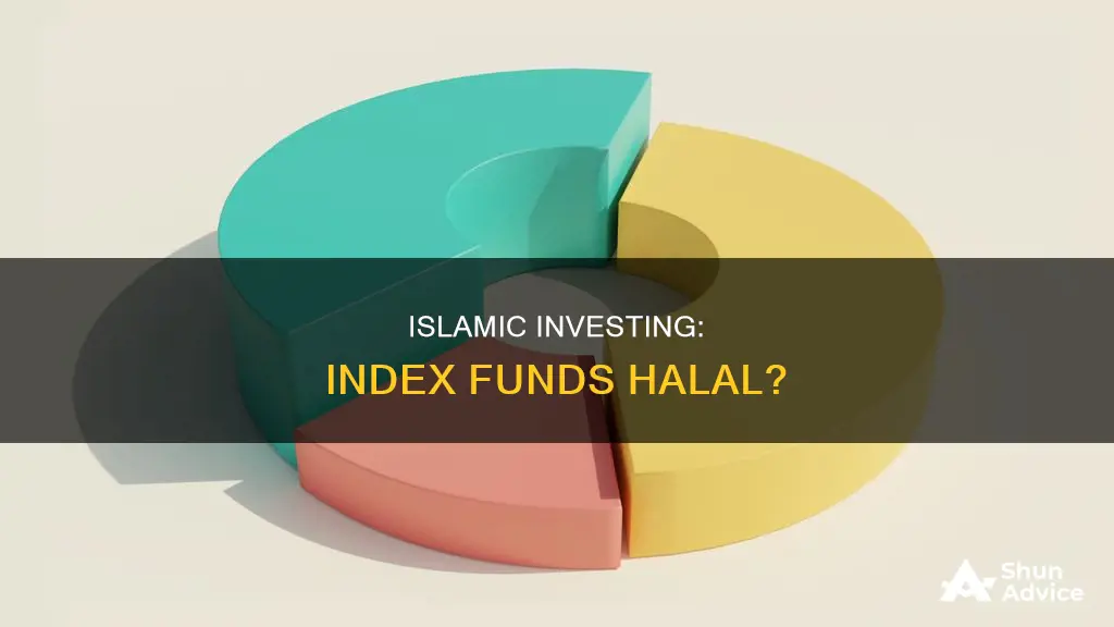 is investing in index funds halal