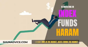 Index Funds: Halal or Haram?