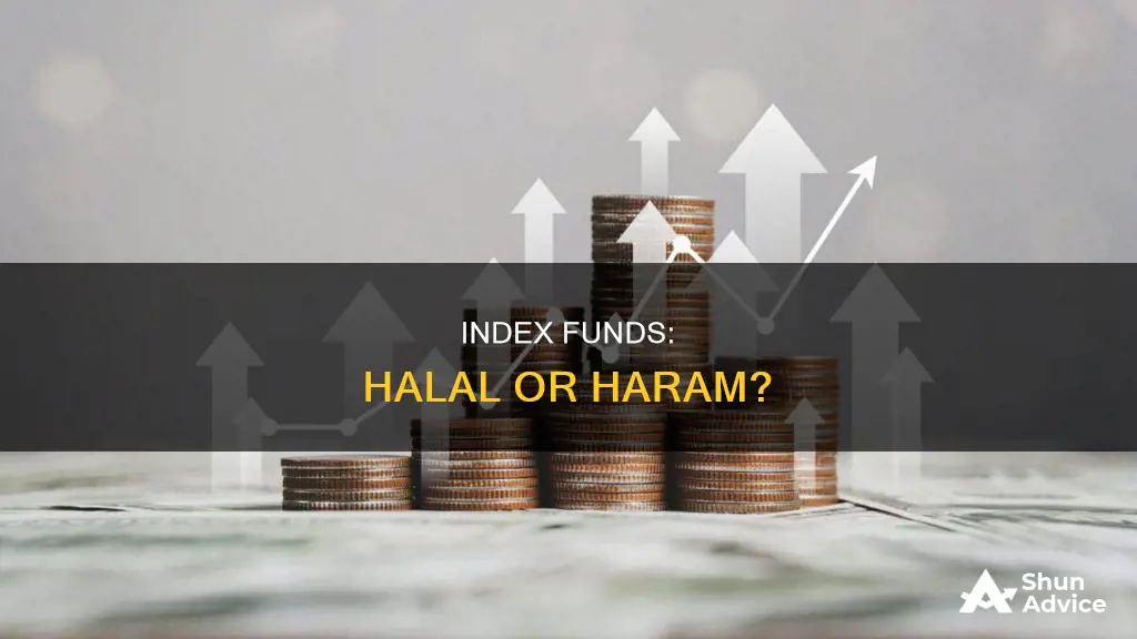 is investing in index funds haram