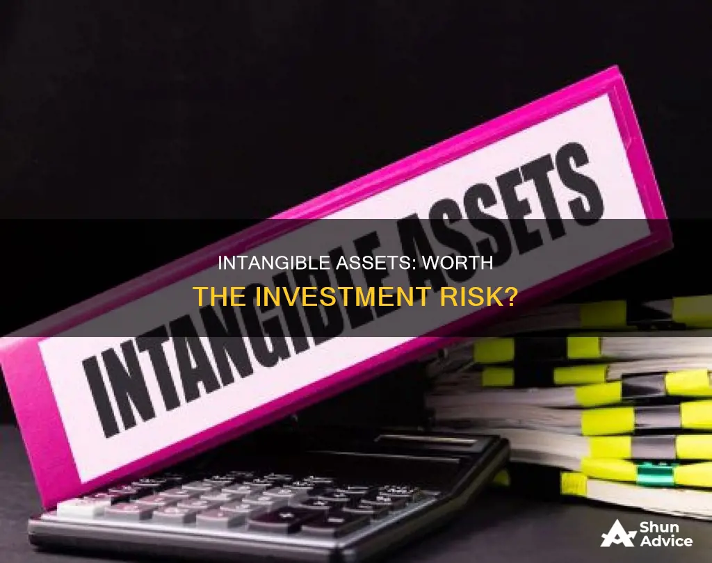 is investing in intangable assets useful