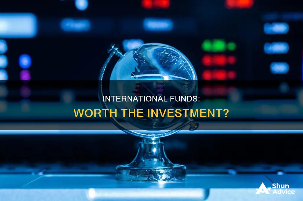 is investing in international funds really necessary