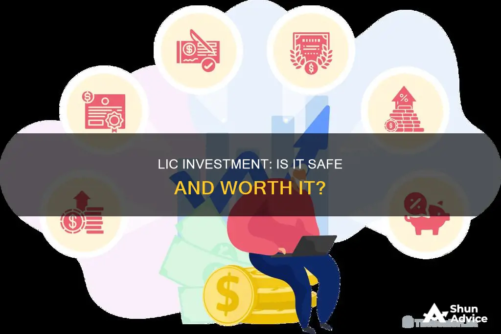 is investing in lic safe