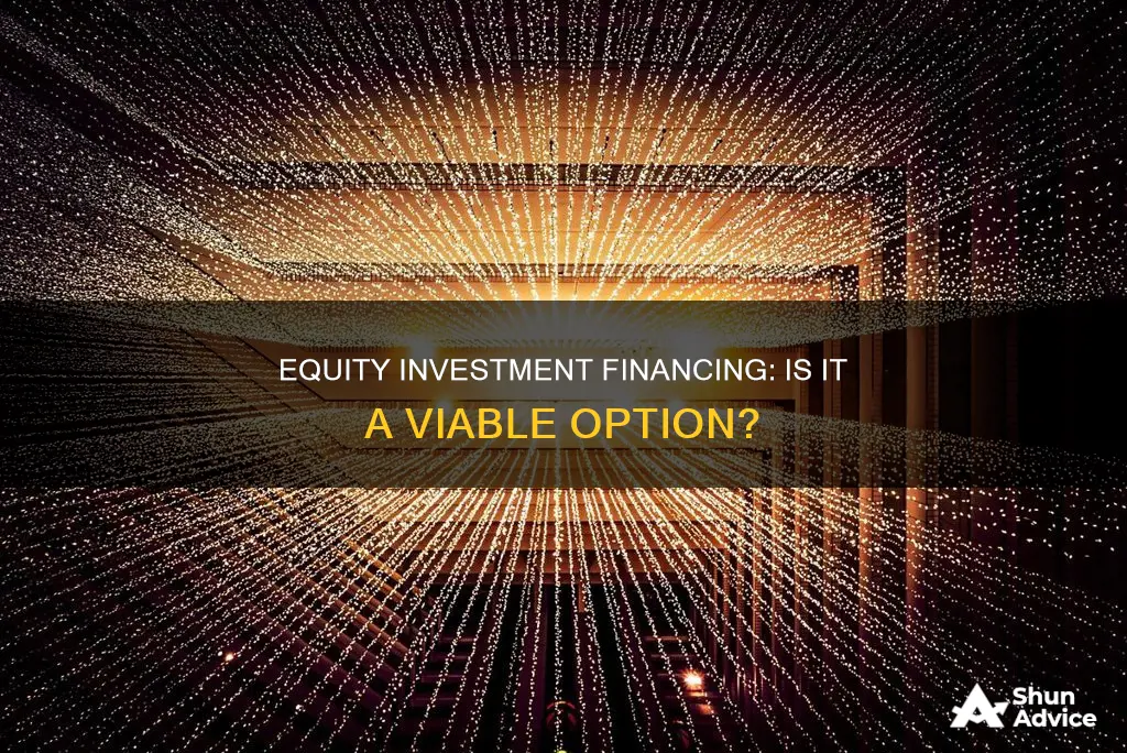 is investing in other equities a financing activity