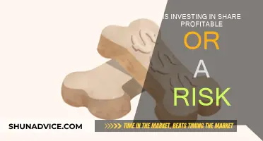 Share Investment: Profits or Risks?