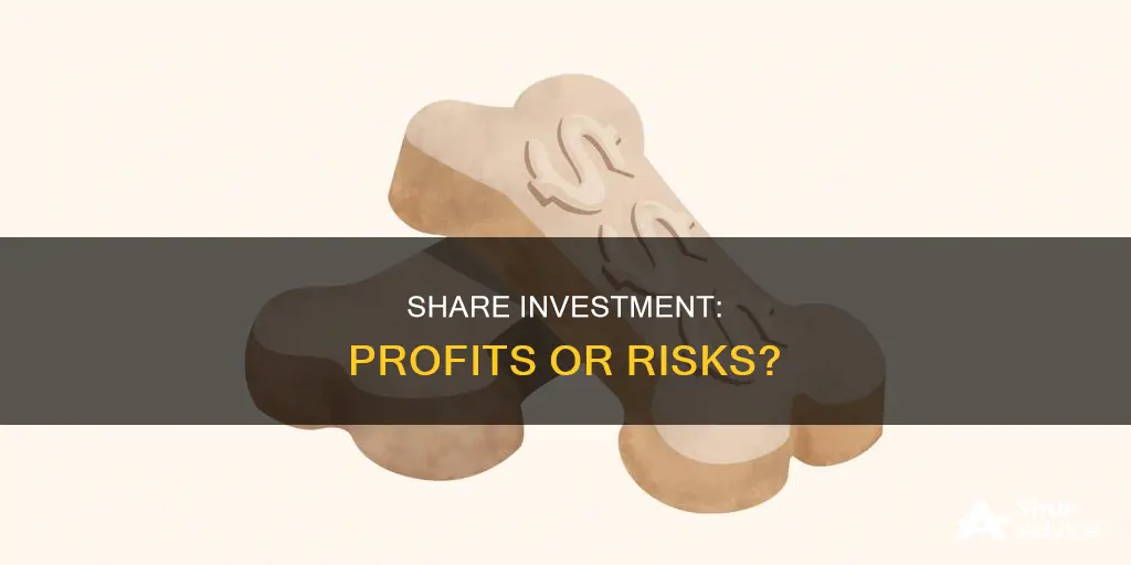 is investing in share profitable or a risk