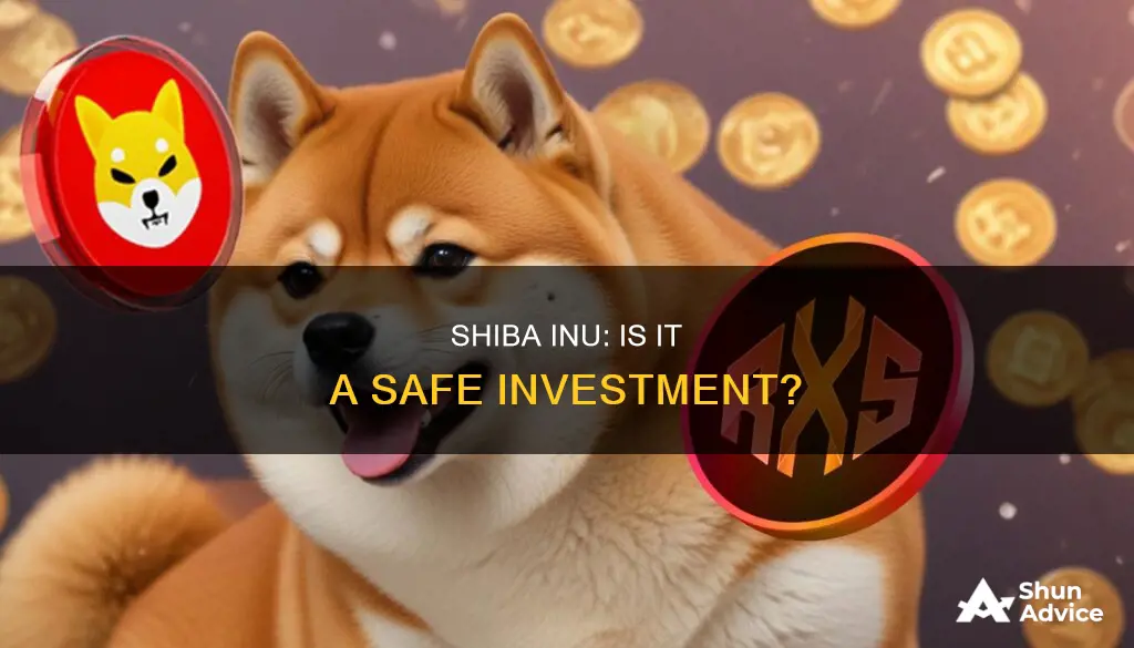 is investing in shiba inu safe