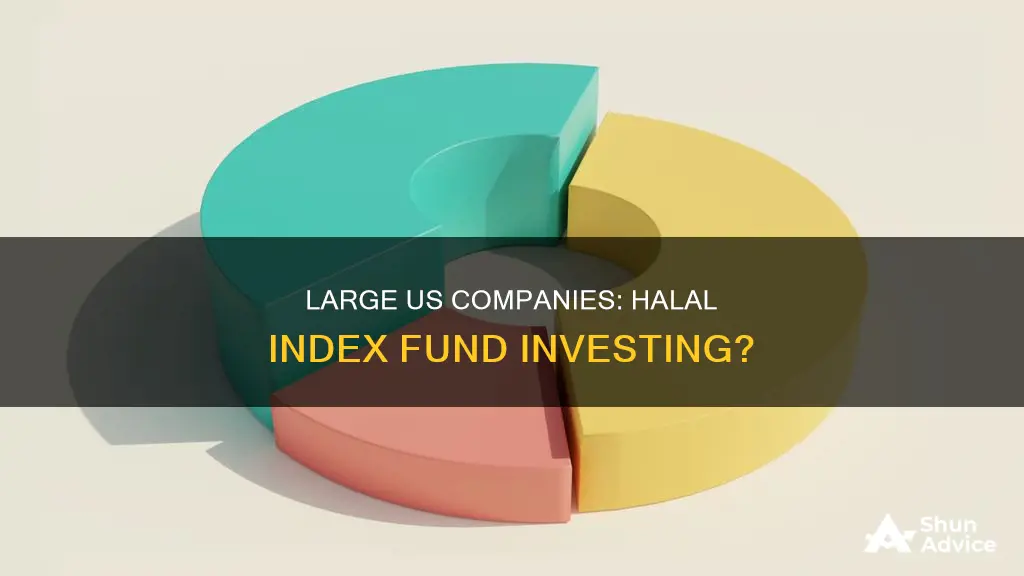 is investing in us large companies index fund halal