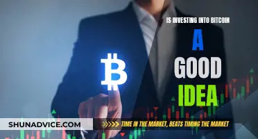 Bitcoin Investment: Good Idea or Risky Business?