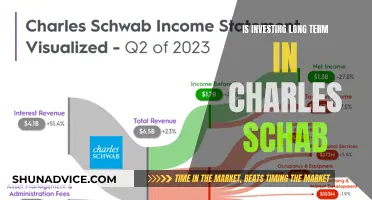 Unlocking Wealth: Exploring Long-Term Investment Strategies with Charles Schwab