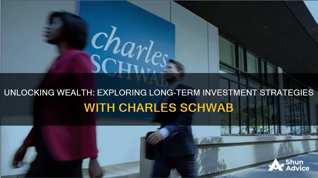 is investing long term in charles schab