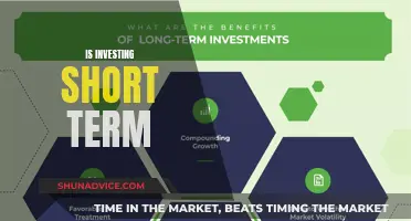 Navigating the Risks and Rewards of Short-Term Investing