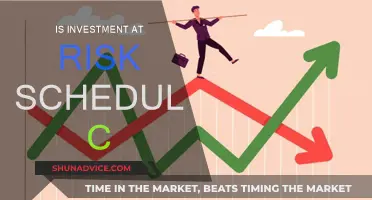 Understanding Schedule C: Investment Risk and You