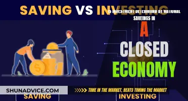 Savings and Investment: Interplay in a Closed Economy