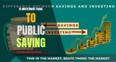 Public Saving and Investment: Two Sides of the Same Coin?