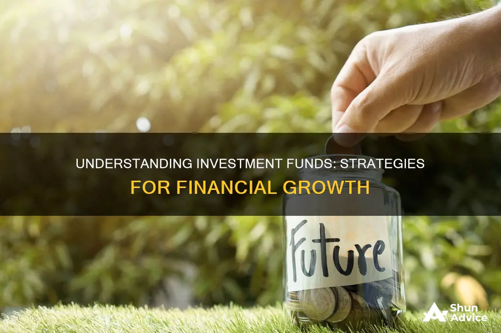 is investment fund