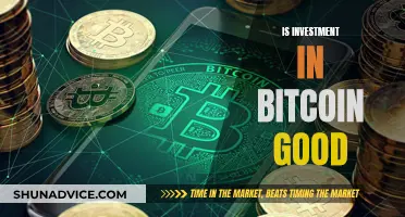 Bitcoin Investment: A Good Bet?