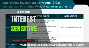 Understanding the Impact: Is Investment Interest-Sensitive?