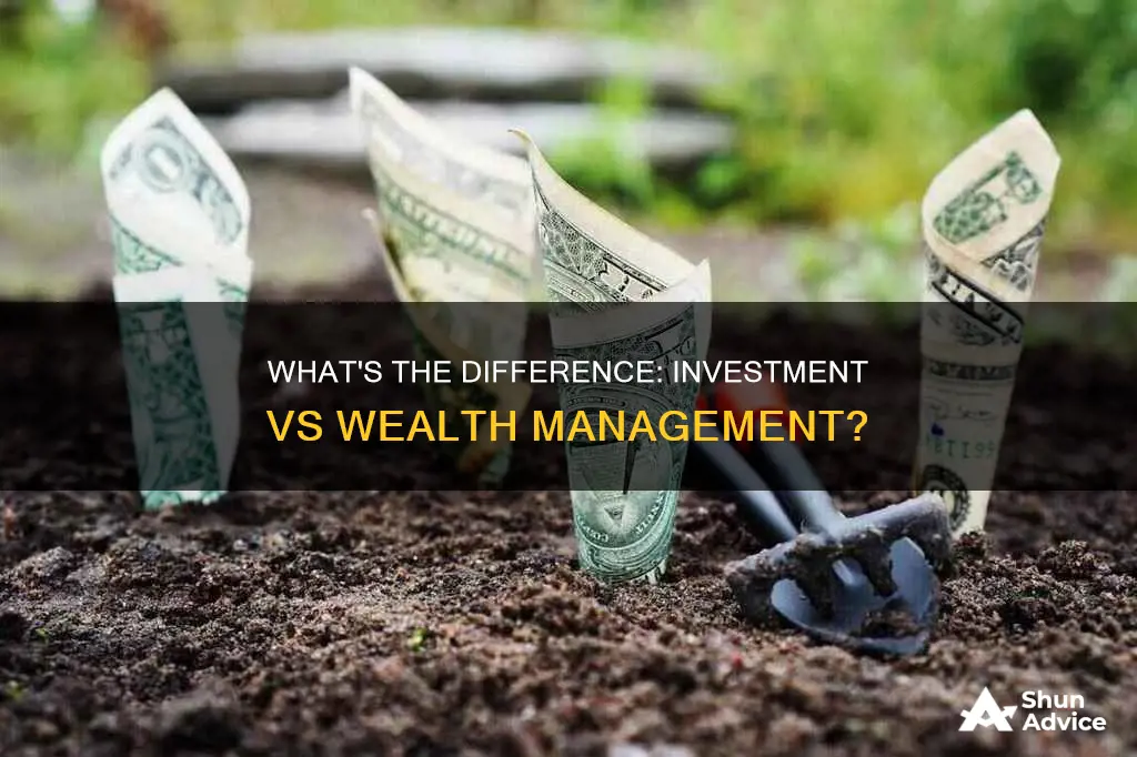 is investment management the same as wealth management