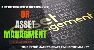 Investment Management: Wealth, Assets, and You