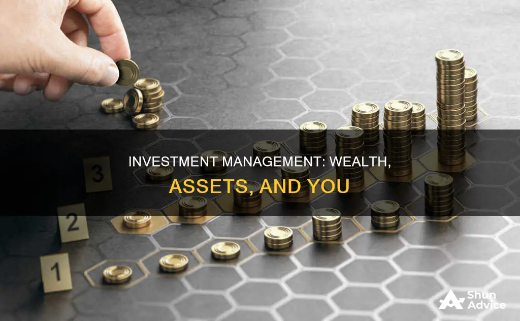 is investment management welath management or asset managment