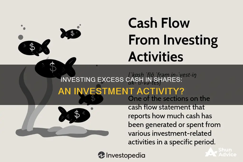 is investment of excess cash in shares an investing activity