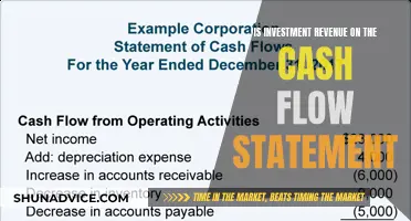 Understanding Investment Revenue in the Cash Flow Statement