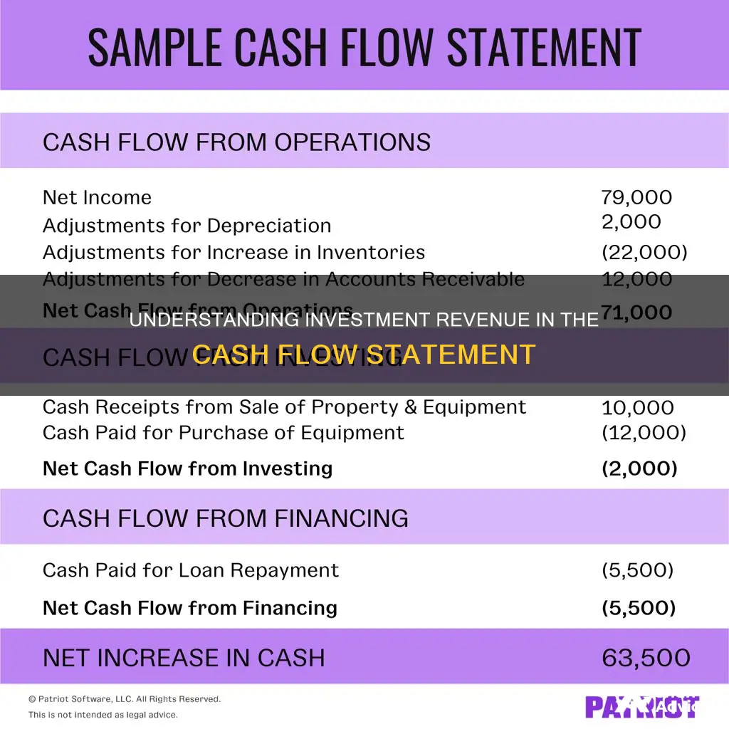 is investment revenue on the cash flow statement