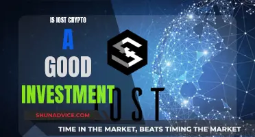 IOST Crypto: A Smart Investment Decision?