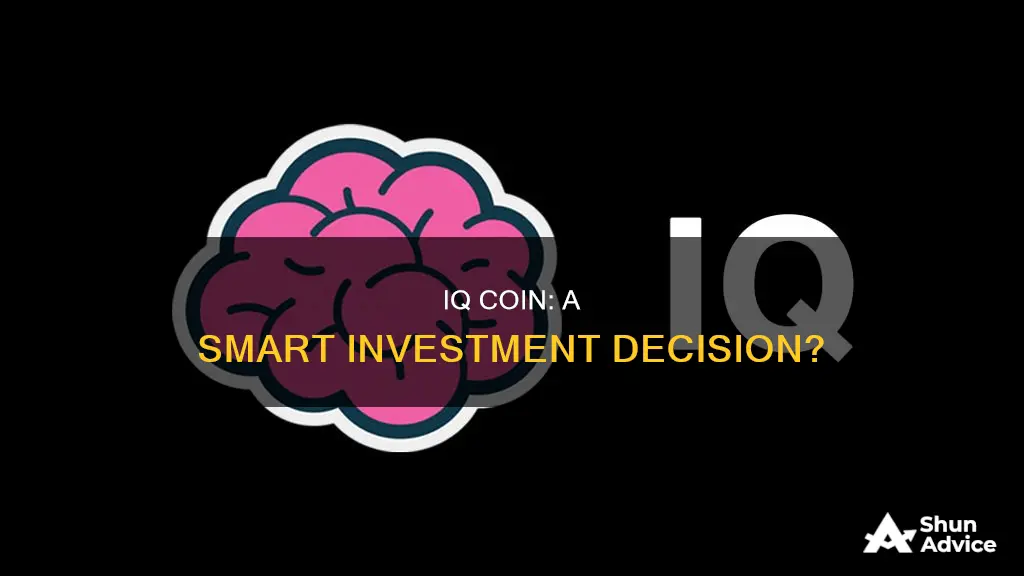 is iq coin a good investment