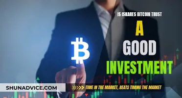 Bitcoin Trust: Is iShares a Smart Investment Choice?