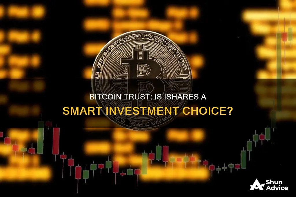 is ishares bitcoin trust a good investment