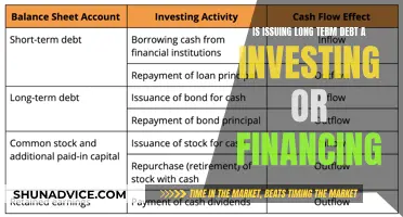 Debt Issuance: A Strategic Investment or Financial Move?