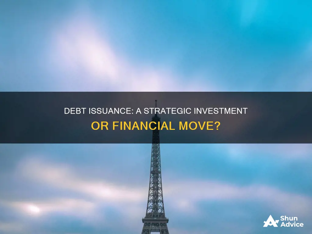 is issuing long term debt a investing or financing