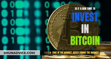 Bitcoin Investment: Good or Bad Move Now?