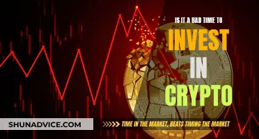 Crypto Investment: Good or Bad Timing?