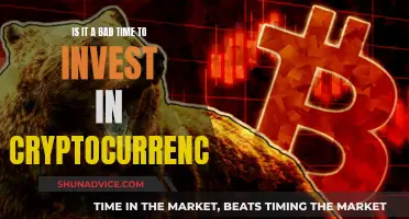 Cryptocurrency Investment: Right Time or Risky Business?