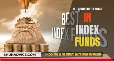 Index Funds: Invest Now or Later?