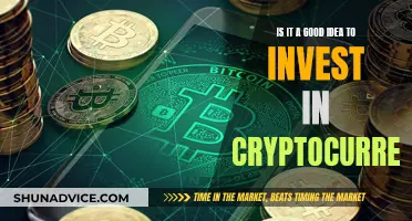 Cryptocurrency Investment: Worthy or Risky?