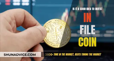 Filecoin: Worthy Investment or Digital Mirage?