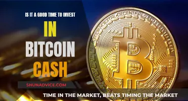 Bitcoin Cash: Invest Now or Later?