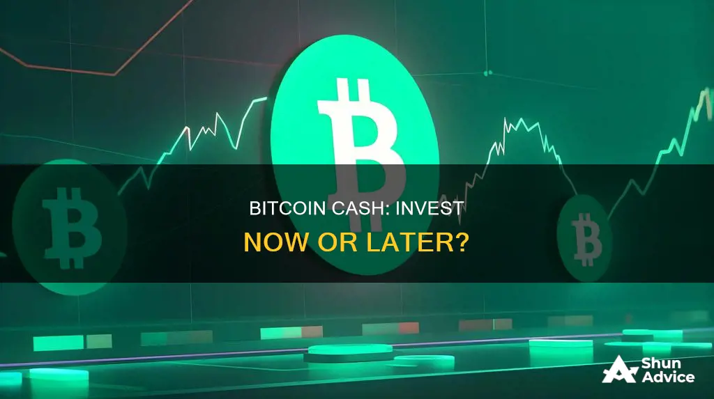 is it a good time to invest in bitcoin cash