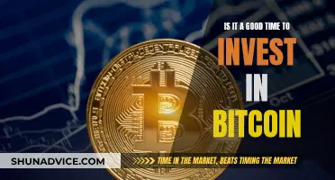 Bitcoin Investment: Good Idea or Bad Bet?