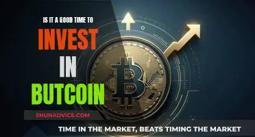 Bitcoin Investment: Worth it or Not?